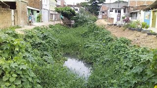 Recife | Moradores de Jardim de Beberibe sofrem com falta de manutenção em canal; leitora apela por ação rápida da prefeitura