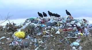MPPE realizará reunião com prefeitos de Passira, Limoeiro, Lagoa de Itaenga e outros 22 municípios para tratar sobre fim dos lixões MPPE realizará reunião com prefeitos de Passira, Limoeiro, Lagoa de Itaenga e outros 22 municípios para tratar sobre fim dos lixões