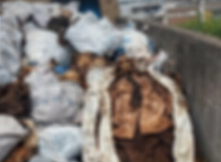 Cidade de Pernambuco tem corpos amontoados e ossos expostos em cemitério