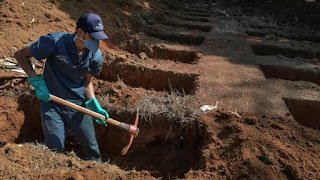 Pior domingo da pandemia |  Com 1.086 mortes em 24h, média móvel no Brasil bate recorde pelo 12º dia