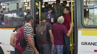 Quem perdeu emprego na pandemia pode andar de graça em ônibus no Grande Recife, diz nova lei Quem perdeu emprego na pandemia pode andar de graça em ônibus no Grande Recife, diz nova lei