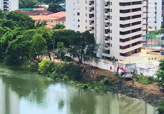 Recife: Liana Cirne denuncia derrubada de árvores na Beira-Rio Recife: Liana Cirne denuncia derrubada de árvores na Beira-Rio