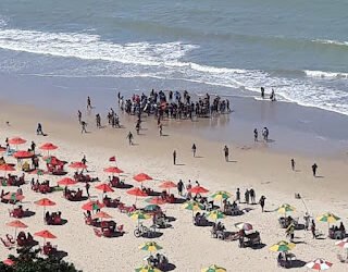 Grande Recife: Novo ataque de tubarão é registrado na praia da Igrejinha de Piedade