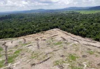 Desmatamento na Amazônia cresce 56,6% nos últimos três anos, segundo Ipam Desmatamento na Amazônia cresce 56,6% nos últimos três anos, segundo Ipam