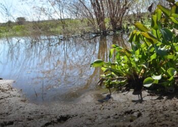 MPPE recomenda evitar contaminação de barragens na zona rural de Bezerros