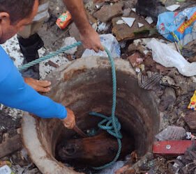 Em Jaboatão, cavalo cai em bueiro sem tampa e morre