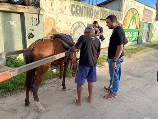 Romero Albuquerque faz ação educativa em Jaboatão e recolhe chicotes de carroceiros