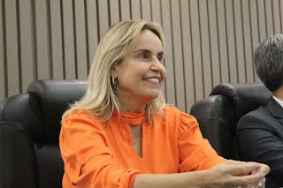Lei de autoria de Alessandra Vieira cria a Política Estadual de Apoio à Atividade de Cuidador de Idosos