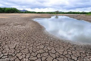 Defesa Civil Nacional reconhece situação de emergência em 11 cidades pernambucanas afetadas pela estiagem