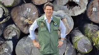 Ex-ministro do Meio Ambiente, Ricardo Salles vira réu por exportação ilegal de madeira
