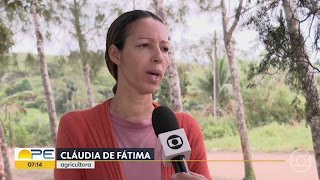 Chã Grande: mães teriam advertido sobre precariedade de ônibus escolar envolvido em acidente, mostra reportagem da Rede Globo