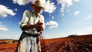 Na Câmara Federal, Comissão aprova incentivo à permanência de trabalhadores rurais no campo Na Câmara Federal, Comissão aprova incentivo à permanência de trabalhadores rurais no campo