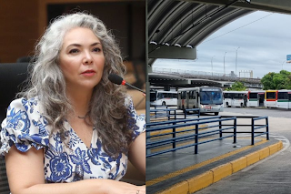 Ação Popular de Liana Cirne contra empresas de ônibus pode barrar aumento de passagem Região Metropolitana do Recife