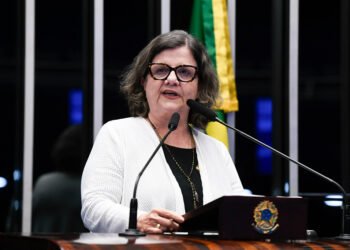 “Governo Lula não tem medido esforços”, diz Teresa Leitão sobre o socorro ao Rio Grande do Sul