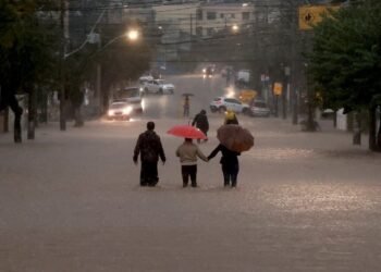 Rio Grande do Sul investiga mais de 800 casos de leptospirose