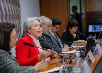 No Senado, Liana Cirne propõe legislação que proíbe cancelamentos de planos de saúde de autistas