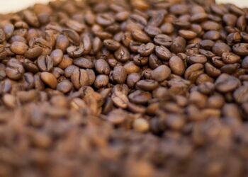 Agricultura manda recolher 16 marcas de cafés impróprios para consumo