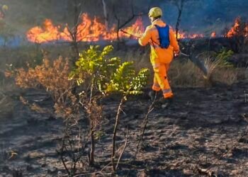 Incêndios atingem milhares de hectares em parques de Minas Gerais