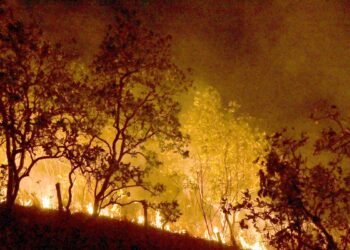 Bombeiros combatem mais de 330 incêndios no estado do Rio