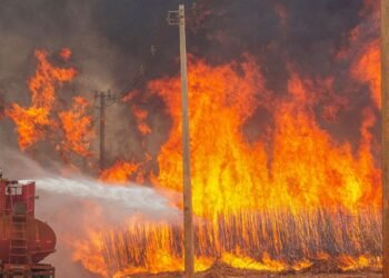 Mais de 80% dos focos de calor em SP estão em áreas de agropecuária