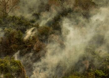 Rondônia declara situação de emergência por incêndios florestais