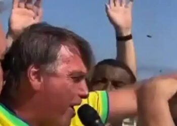 Ataque de abelhas põe fim a discurso de Bolsonaro no RN