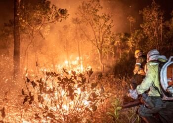 Brasil teve 11,39 milhões de hectares atingidos pelo fogo este ano