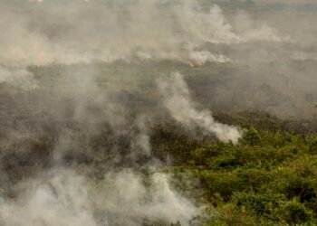 Militares do Exército começam a combater incêndios no Tocantins