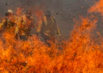 Parque da Cantareira é fechado por causa de incêndio; total chega a 81