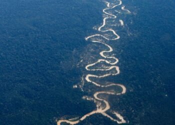 Operações zeram abertura de garimpos na TI Yanomami, diz Casa Civil