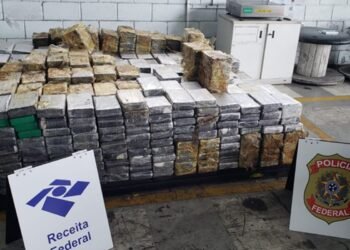 Porto de Santos: Receita e PF fazem maior apreensão de cocaína do ano