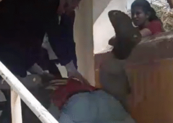 Homem é preso em local de votação por desrespeito à legislação eleitoral em Amaraji