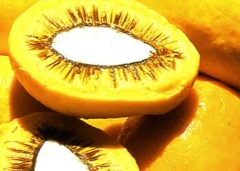 Lula sanciona projeto que estimula produção de frutos do Cerrado