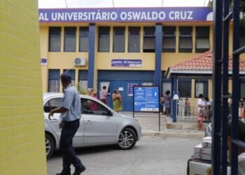 Morre mulher diagnosticada com raiva humana após ser mordida por sagui; caso é o primeiro em Pernambuco em oito anos