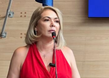 Câmara do Recife aprova Projeto de Lei de Liana Cirne que multa agressores de mulheres em até R$ 1 milhão