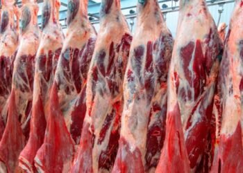 Garanhuns: MPPE recomenda fiscalização de abate clandestino e adequação dos estabelecimentos de produtos de origem animal