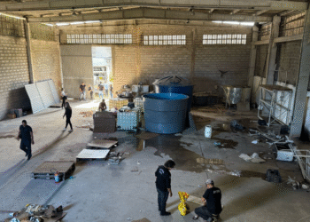 Paulista: operação desmantela fábrica clandestina de bebidas falsificadas contaminadas com fezes de pombo