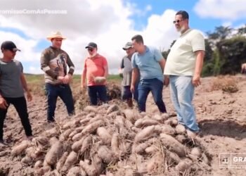 Parceria entre Prefeitura de Gravatá e agricultores garante crescimento na produção de inhame e cará