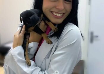 Gravatá ganha serviço veterinário domiciliar com a Dra. Bívia Bruce Gravatá ganha serviço veterinário domiciliar com a Dra. Bívia Bruce