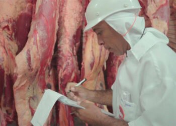 São Bento do Una: MPPE recomenda combate ao abate clandestino de animais e intensificação da fiscalização sanitária