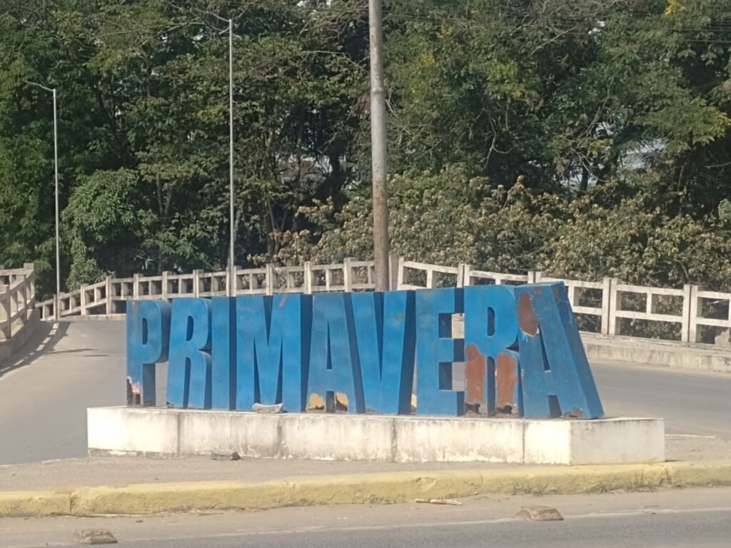 Minha reação a uma fala machista durante um Congresso em defesa das vereadoras de Primavera
