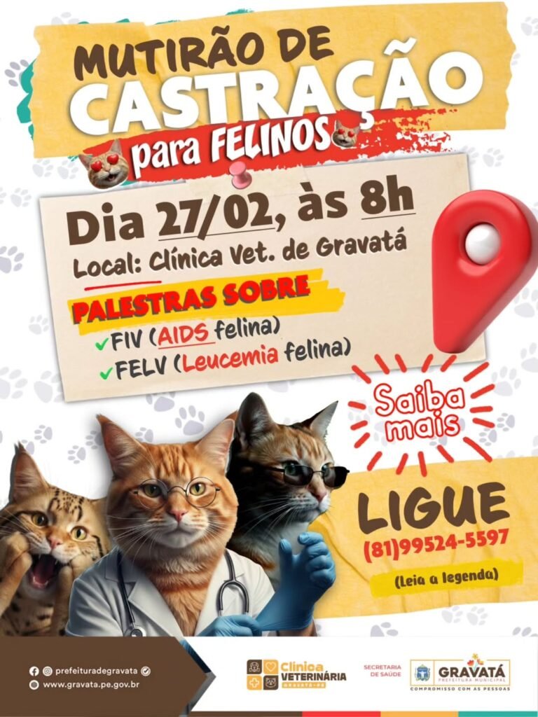 Card oficial da Prefeitura de Gravatá divulga mutirão de castração felina na Clínica Veterinária Municipal no dia 27 de fevereiro