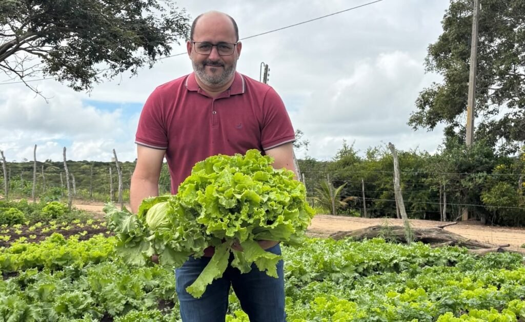 Val Pessoa segurando um grande maço de alface verde em uma horta na zona rural de Gravatá.